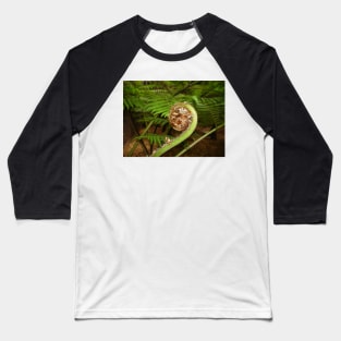 Fern Spiral Baseball T-Shirt